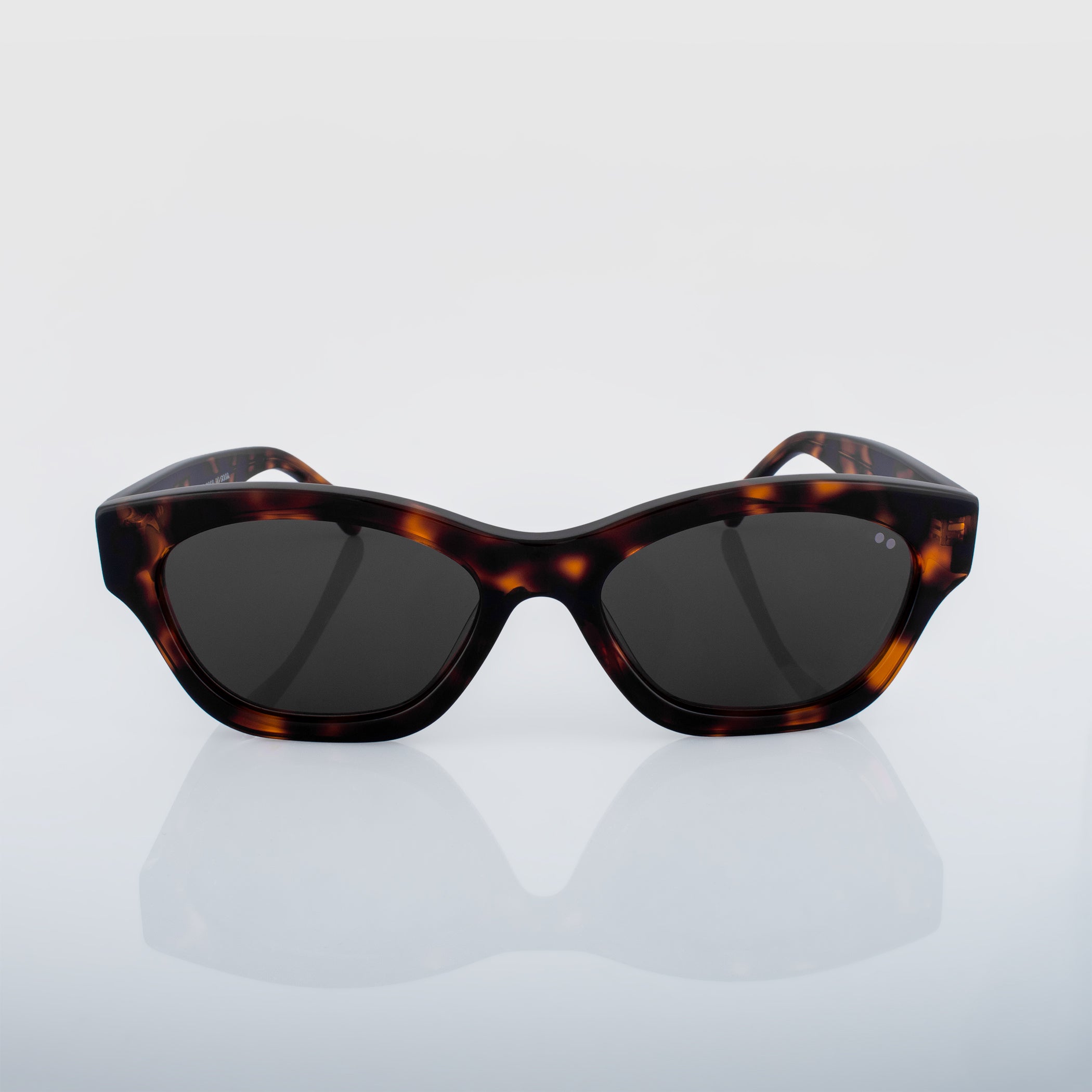 SUNSEEKERS