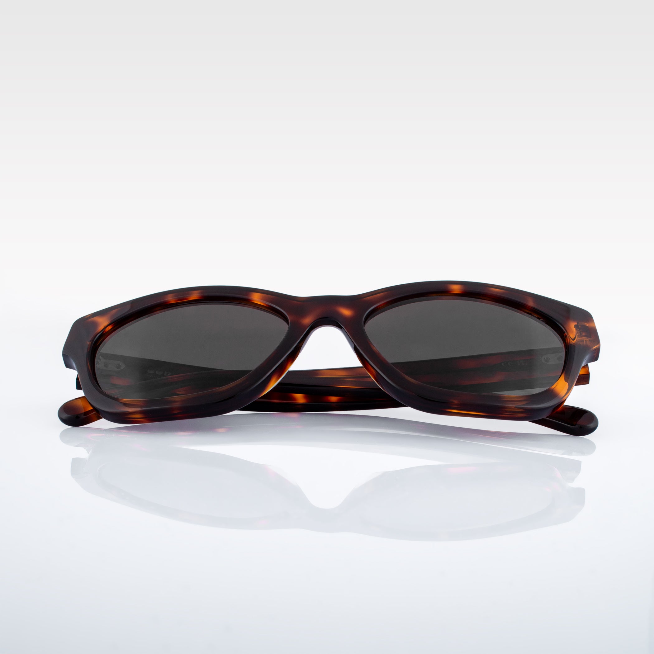SUNSEEKERS